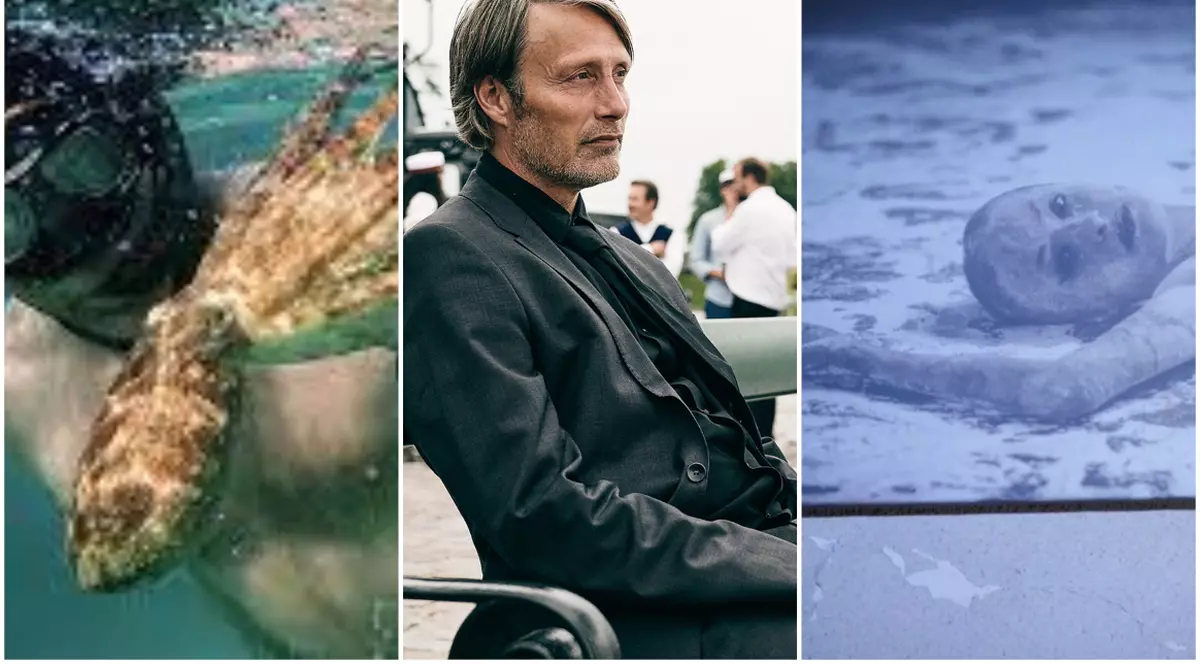 Felicitări „Another round” și „My octopus teacher” pentru victorie, mulțumiri Alexander Nanau pentru filmul tău extraordinar!