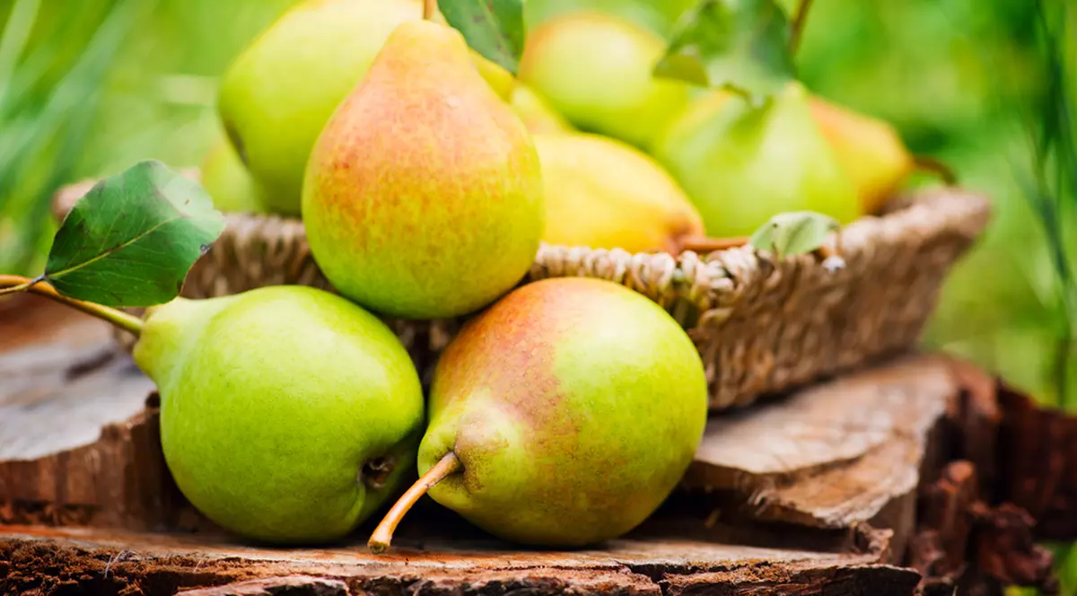 Pere- beneficii si retete