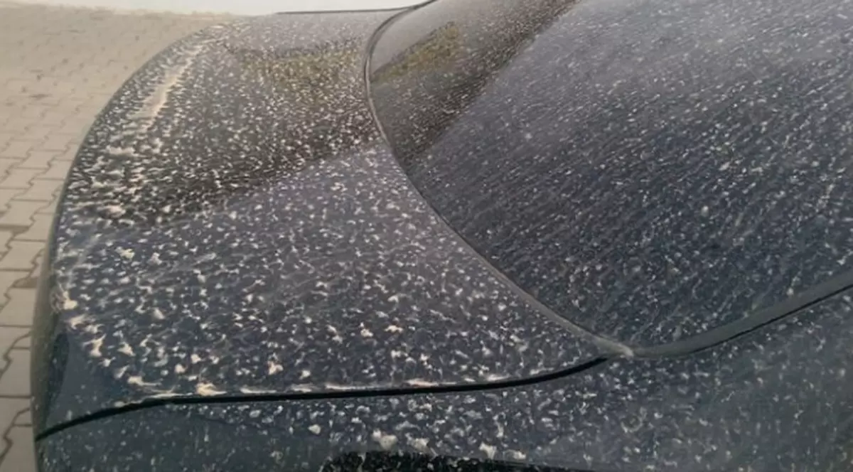 VIDEO Alertă meteo. Nor de praf saharian deasupra României