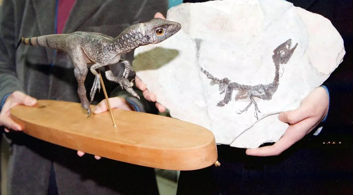 O americancă susține că un pui de dinozaur i-a alergat prin curte. „Poate m-am uitat de prea multe ori la Jurassic Park”