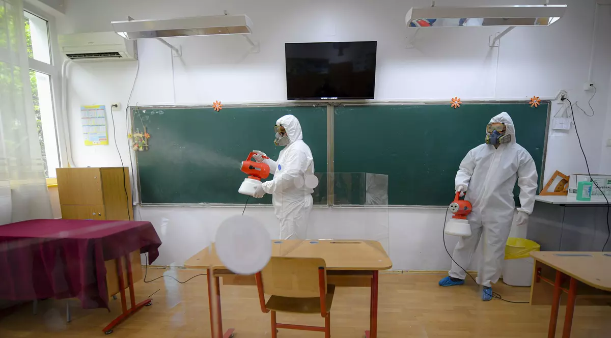 Când se fac tratamentele de dezinsecție, deratizare și dezinfecție în București