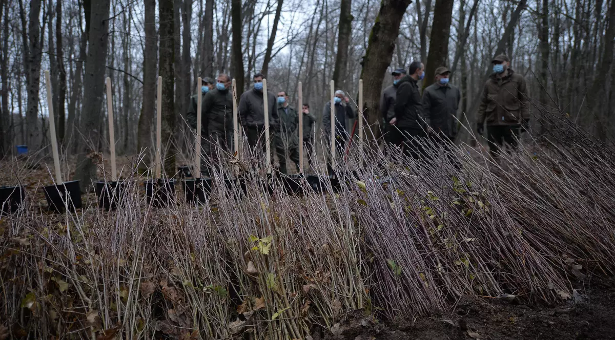 Pactul verde european: Ținta Comisiei este reducerea la zero a poluării aerului, apei și solului