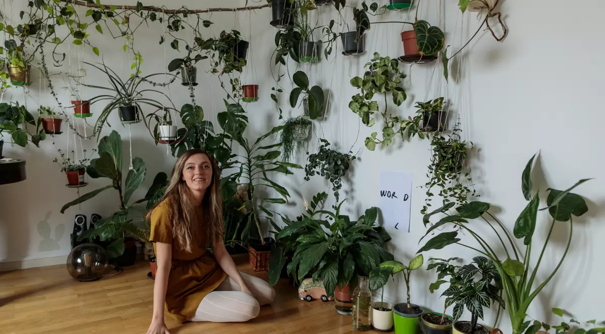 „Totul a plecat de la un ananas”. După ce și-a construit o seră în apartament, o tânără a unit virtual mii de oameni pasionați de plante
