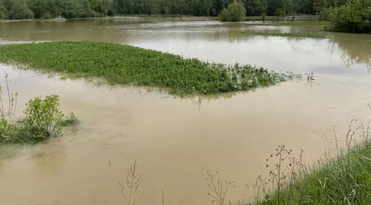 Cod galben de inundații în șase bazine hidrografice și pe râurile din Dobrogea, până luni seară