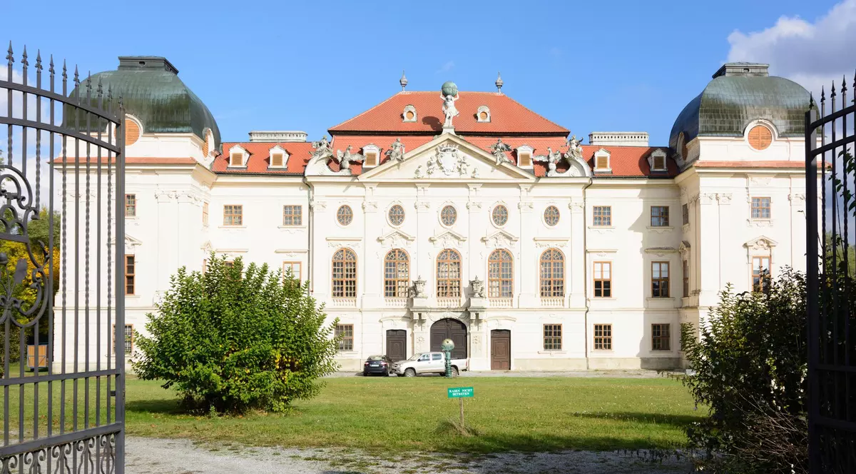 Castelul Riegersburg, asaltat online de recenzii negative și de ironiile românilor după împușcarea ursului Arthur: „Putem să venin cu animale de companie?”