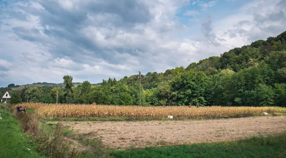 Fetiță de 3 ani din Constanța dată dispărută joi seară a fost găsită moartă pe un câmp