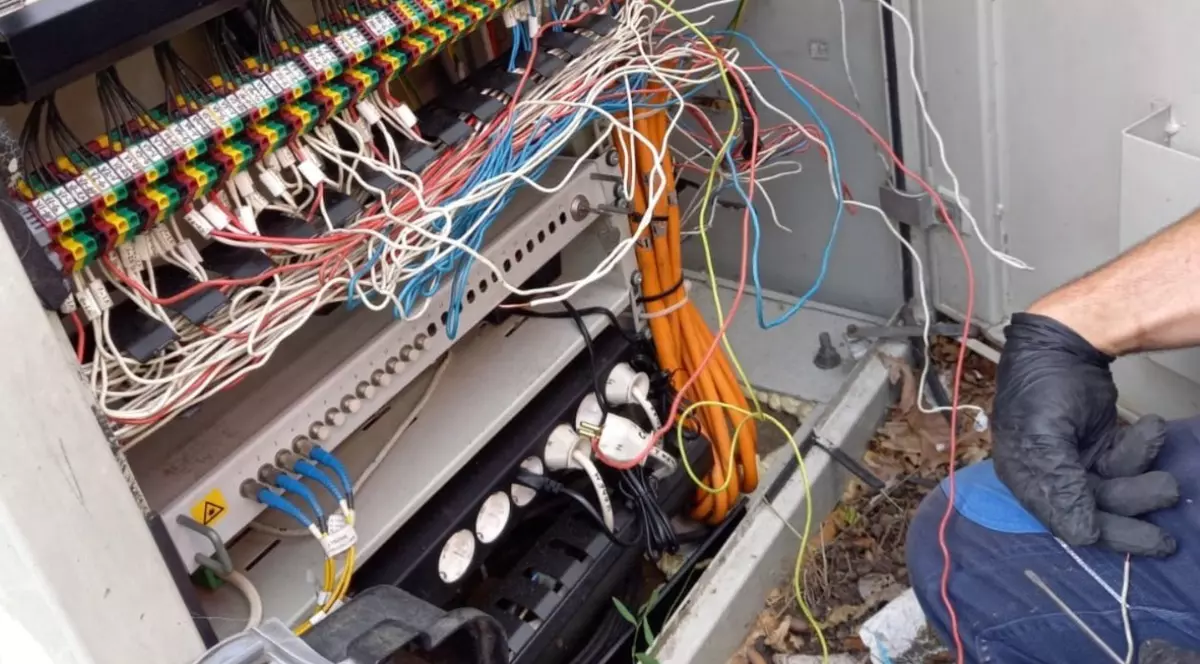 Semafoare defecte într-o intersecție din centrul Bucureștiului, după ce șobolanii au ros cablurile