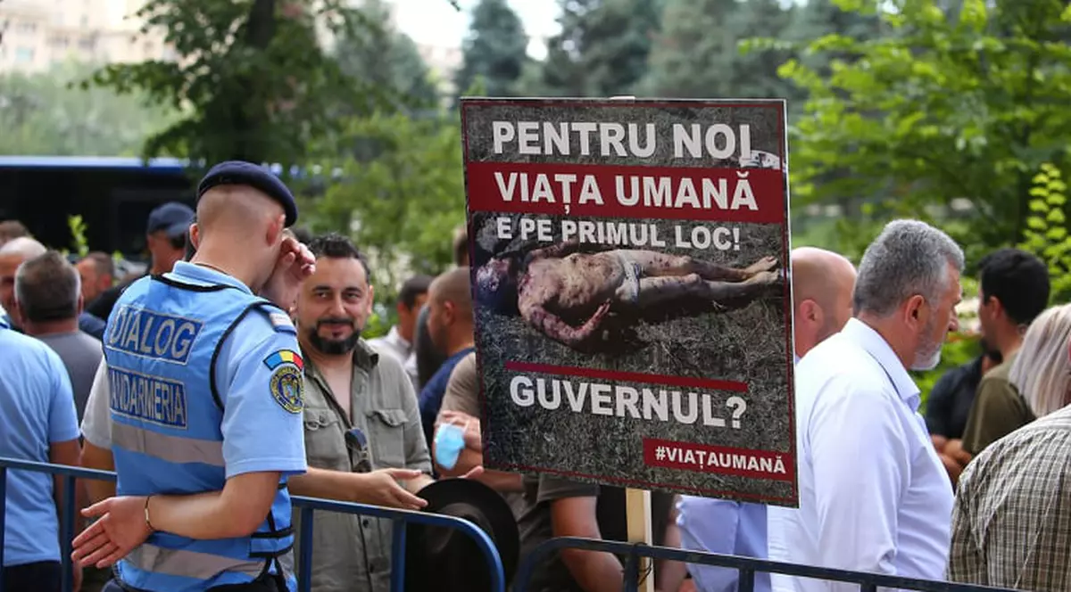 Protest la Ministerul Mediului față de urși