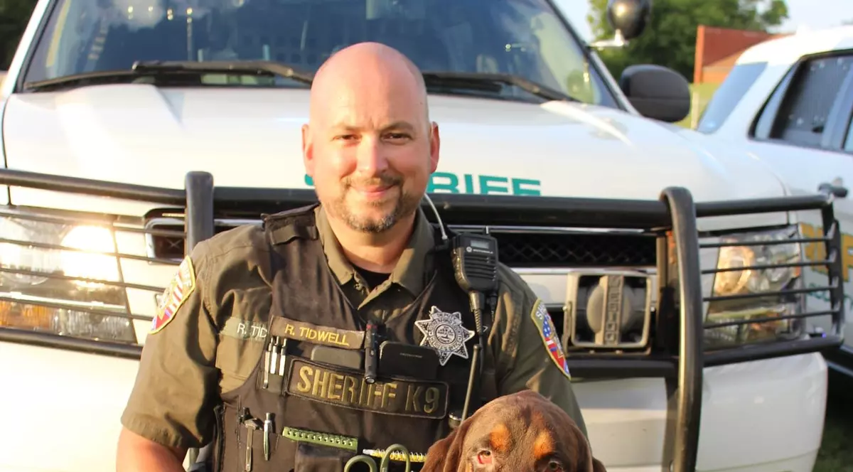 Un câine, erou în SUA, după ce a găsit o fetiță dispărută de o lună, răpită de tatăl său