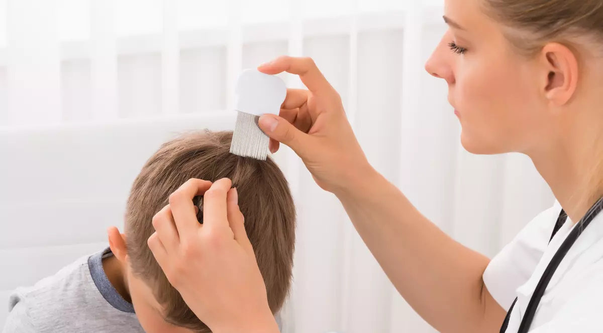 Păduchii sunt o problemă în școlile din toată lumea. În SUA sunt 12 milioane de cazuri anual