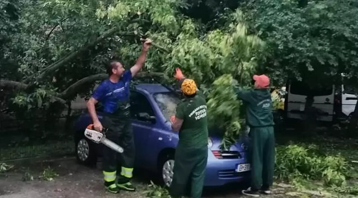 Primăria Sectorului 4 anunță că despăgubește proprietarii maşinilor avariate în urma furtunii de vineri