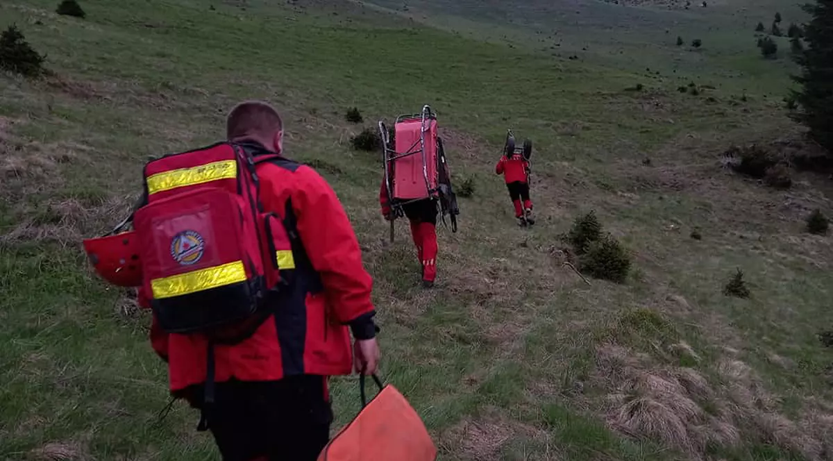 Bărbat în șoc anafilactic în munții Piatra Craiului, după ce a fost înțepat de o albină. Intervin salvamontiștii