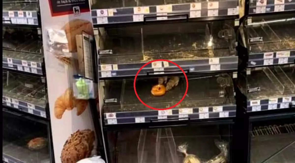 Ce amendă a primit Mega Image pentru șobolanii fotografiați pe raftul de panificație