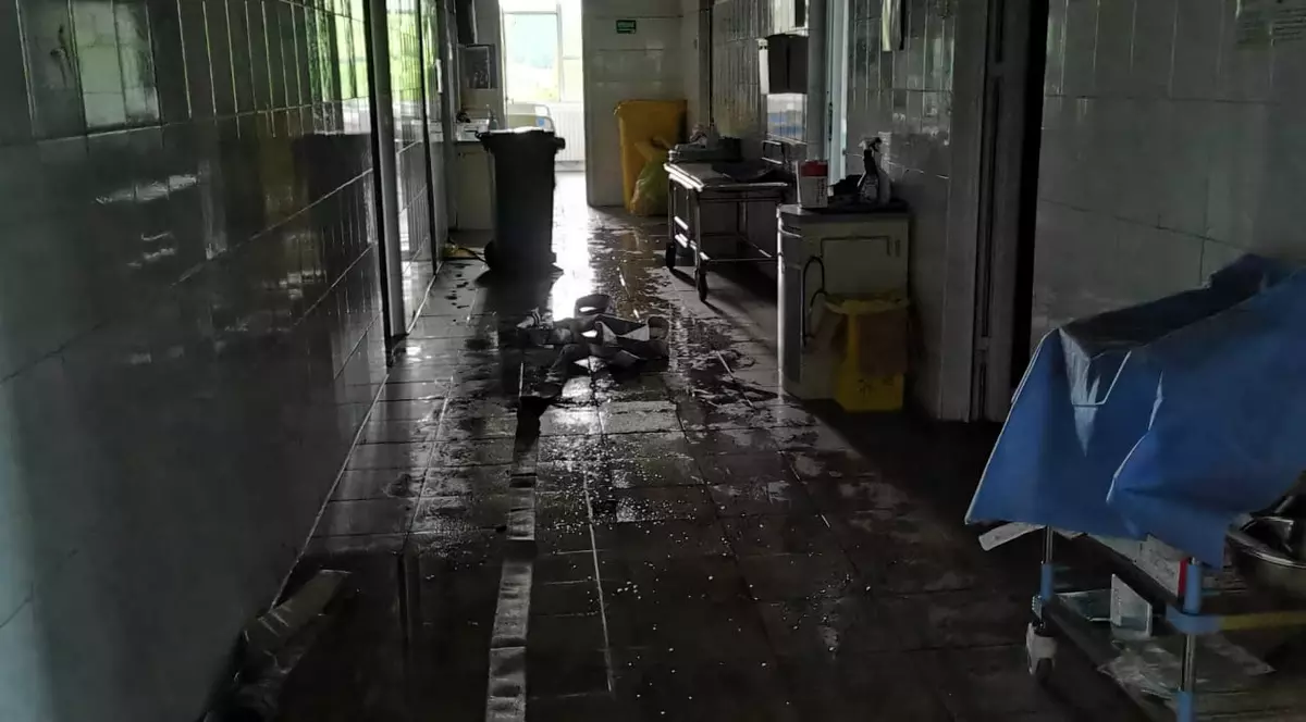 Foto: Consiliul Județean Iași