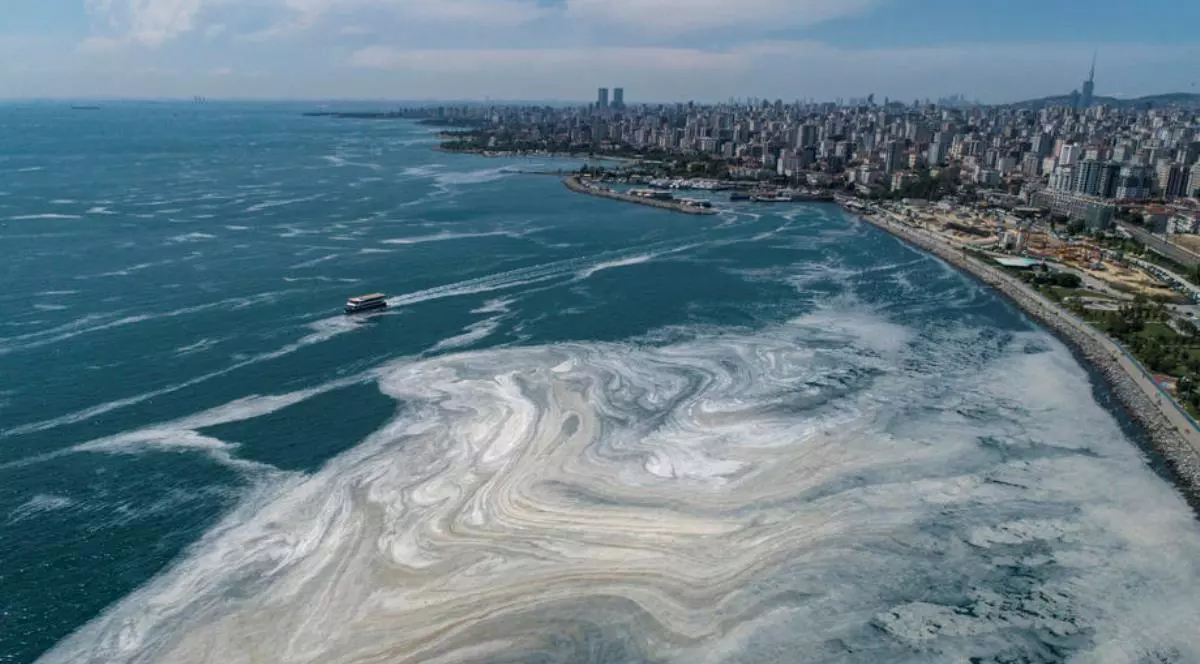 Mucilagiul marin a pătruns și în Marea Neagră. Avertismentul experților