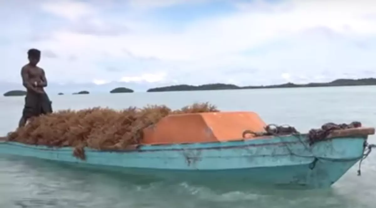 Cum a reușit o comunitate mică din Pacific să câștige lupta cu o companie minieră gigantică