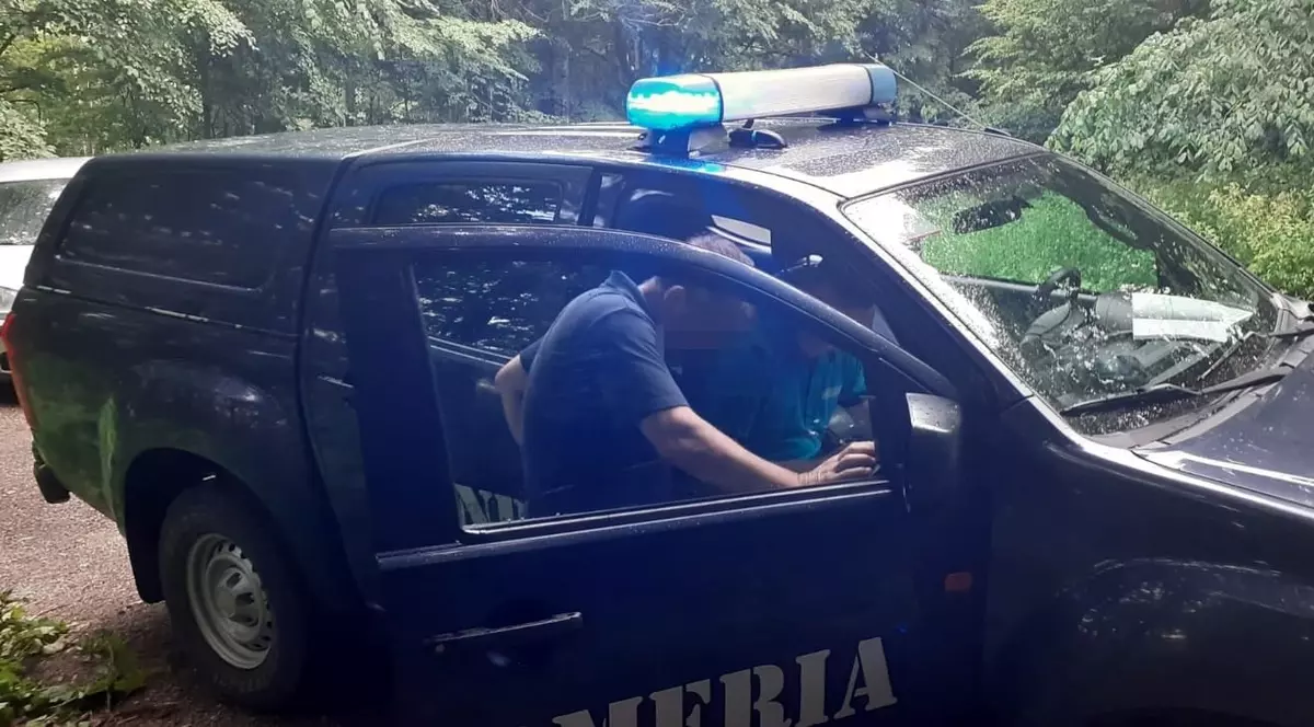 Turist amendat de jandarmi, după ce a hrănit un urs în zona Cotei 1400 Sinaia