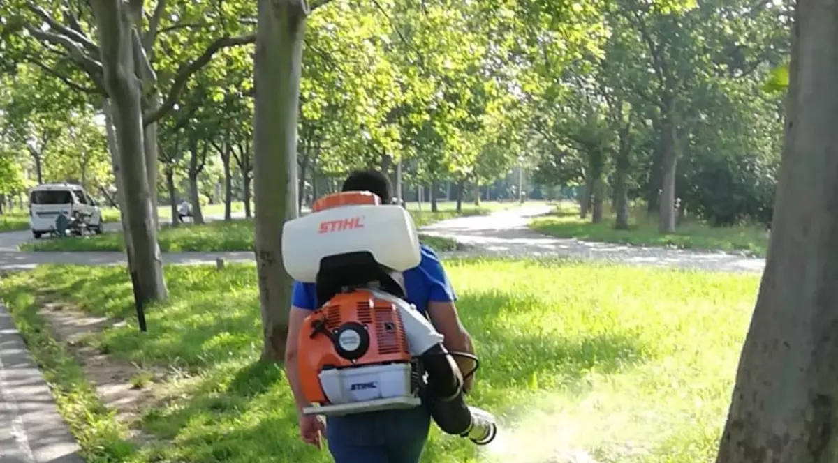 Nicuşor Dan: Începe al patrulea tratament antiţânţari, în toate sectoarele din București