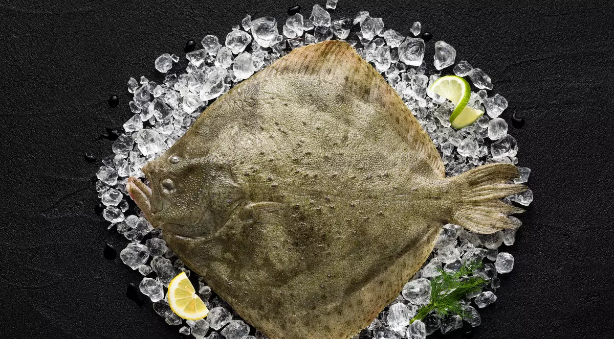 Calcanul - cum arată unde se găsește și cum se gătește. Ce rețete poți face cu acest pește