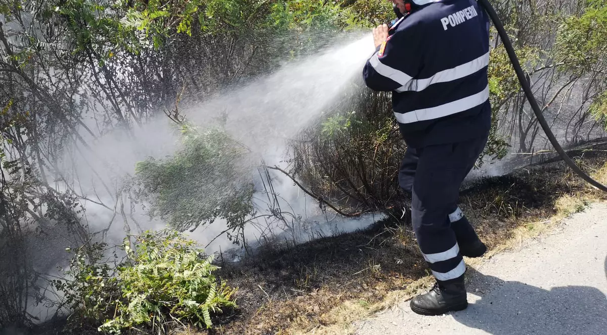 Incendiu de vegetație în Dâmbovița. Șoferii care circulau pe autostrada A1 au sunat la 112