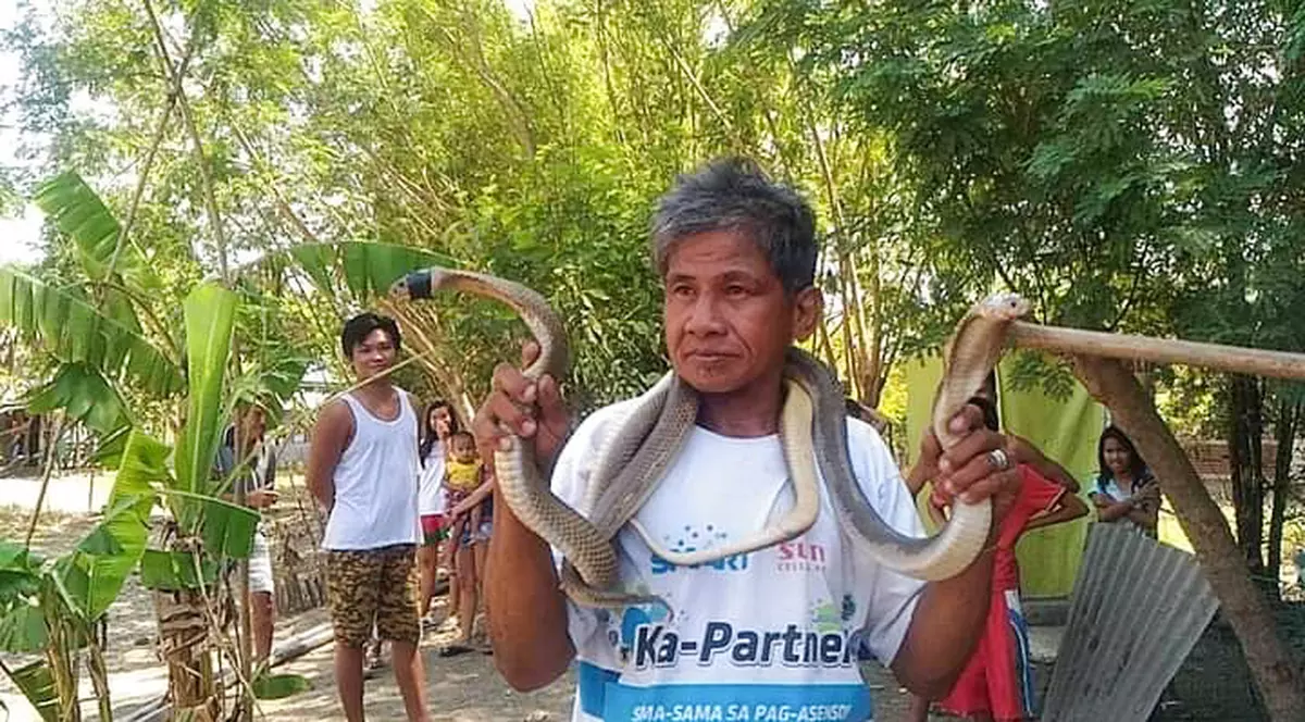 Filipinezul care se declara imun la venin a fost ucis de o cobră pe s-a prefăcut că o sărută