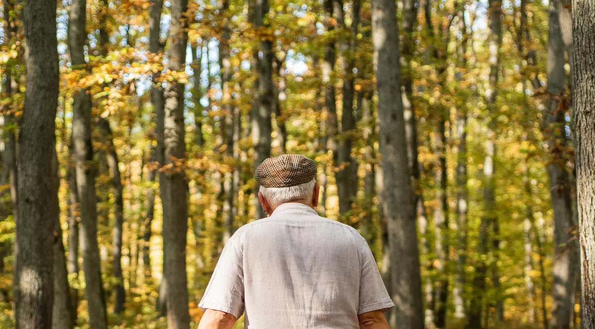 Un pensionar se luptă de 15 ani să recupereze o pădure confiscată de comuniști. „Mă apropii de 70 de ani și nu cred că mai pot”