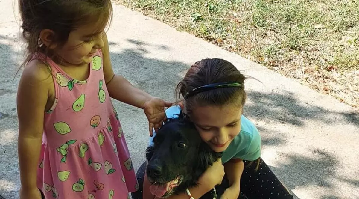 Momentul emoționant în care două fetițe din Arad își regăsesc cățelul pierdut acum un an