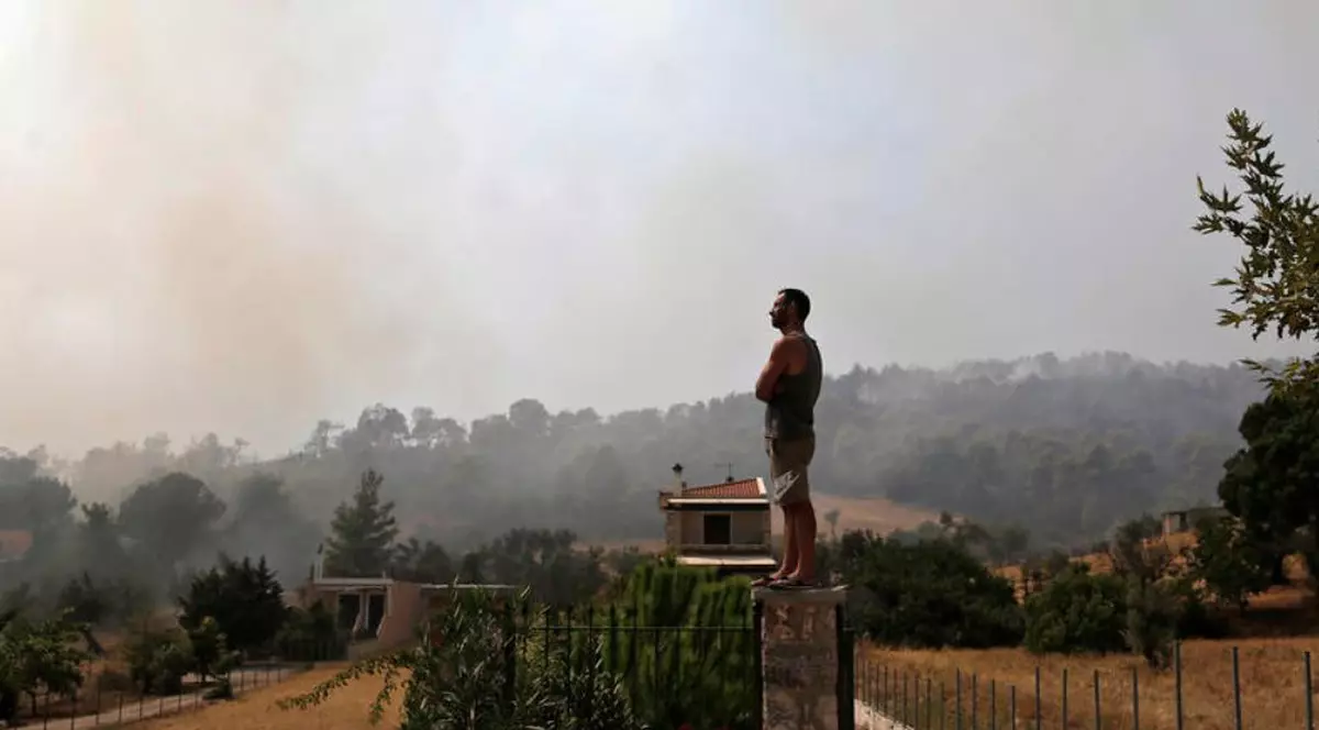 Urmările mai puțin cunoscute ale incendiilor de pe insula Evia. „O pierdere imensă pentru următorii 30 de ani”