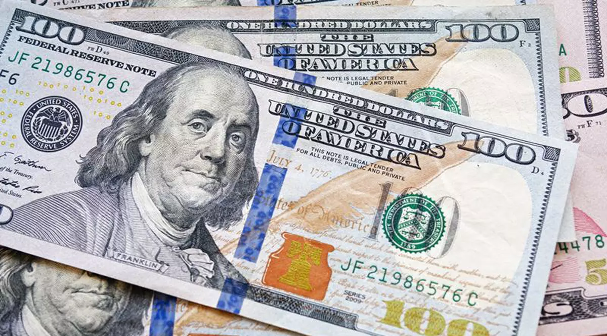 Un american va fi despăgubit de părinți cu 29.000 de dolari pentru că i-au aruncat la gunoi colecția pornografică