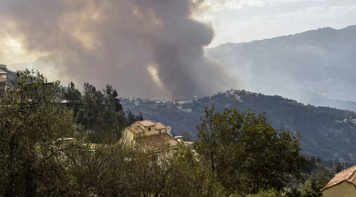 Cel puțin 65 de oameni au murit în incendiile violente de vegetație din Algeria