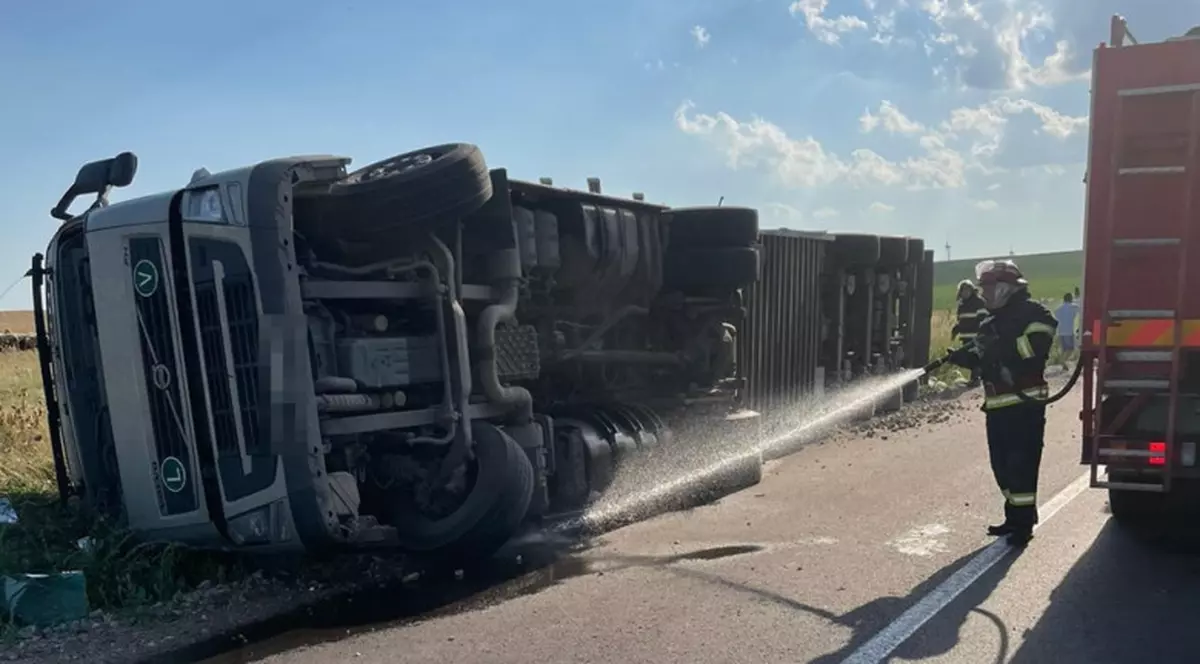 Aproape 100 de oi au murit, după ce TIR-ul care le transporta s-a răsturnat în Tulcea