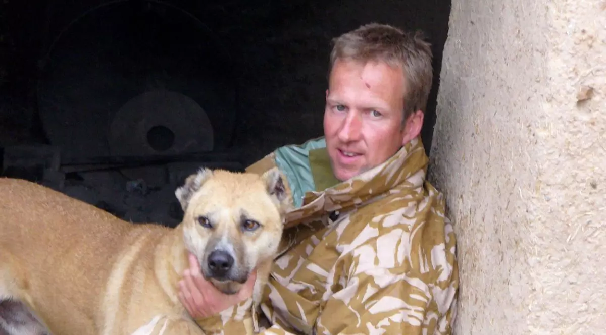 „Operațiunea Arca”: 200 de câini și pisici, evacuați din Afganistan de un fost soldat britanic