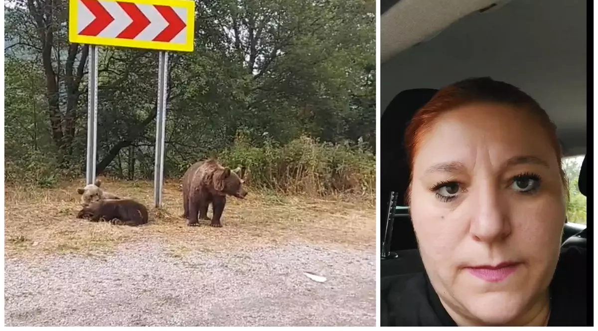 Diana Șoșoacă, întâlnire cu urșii pe Transfăgărășan: „Sunt periculoși chiar dacă sunt mici”