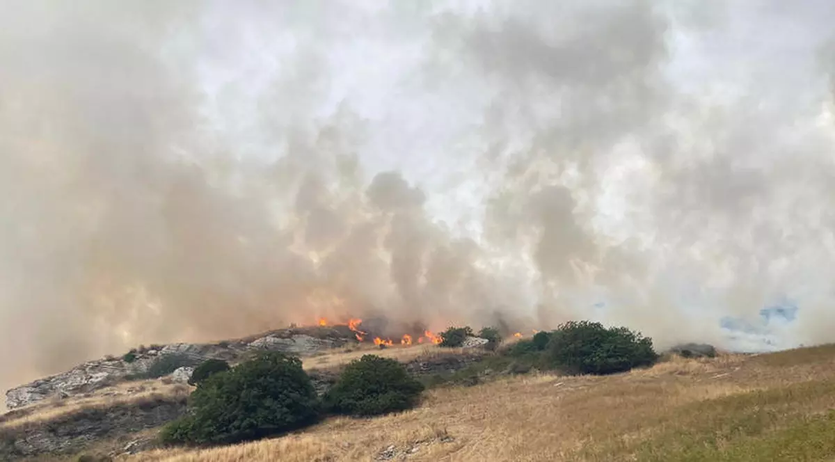 Incendiile din sudul Italiei au ucis două persoane