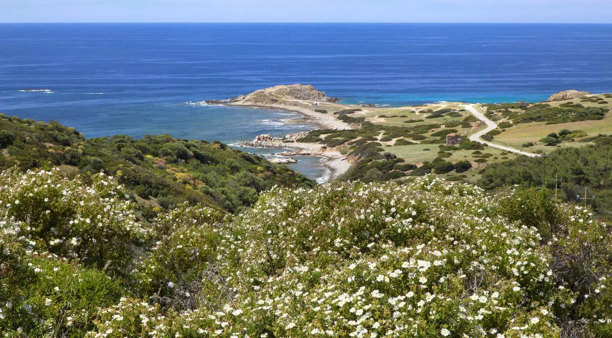 Român amendat în Italia, pentru că a furat pietricele de pe plajă din Sardinia