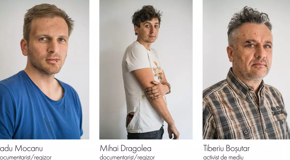 Agresorii jurnaliștilor care documentau defrișările ilegale au fost eliberați și puși sub control judiciar