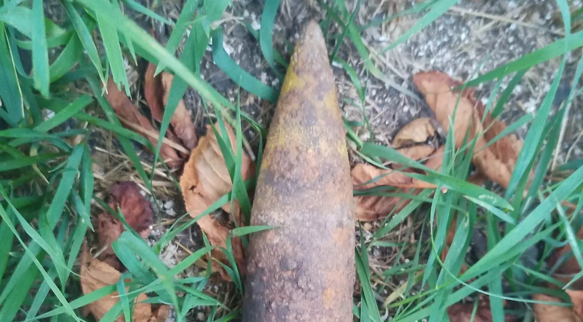 Un bărbat s-a dus cu bomba în sacoșă la sediul Poliției Tg. Neamț. Găsise proiectilul când era la cules de ciuperci