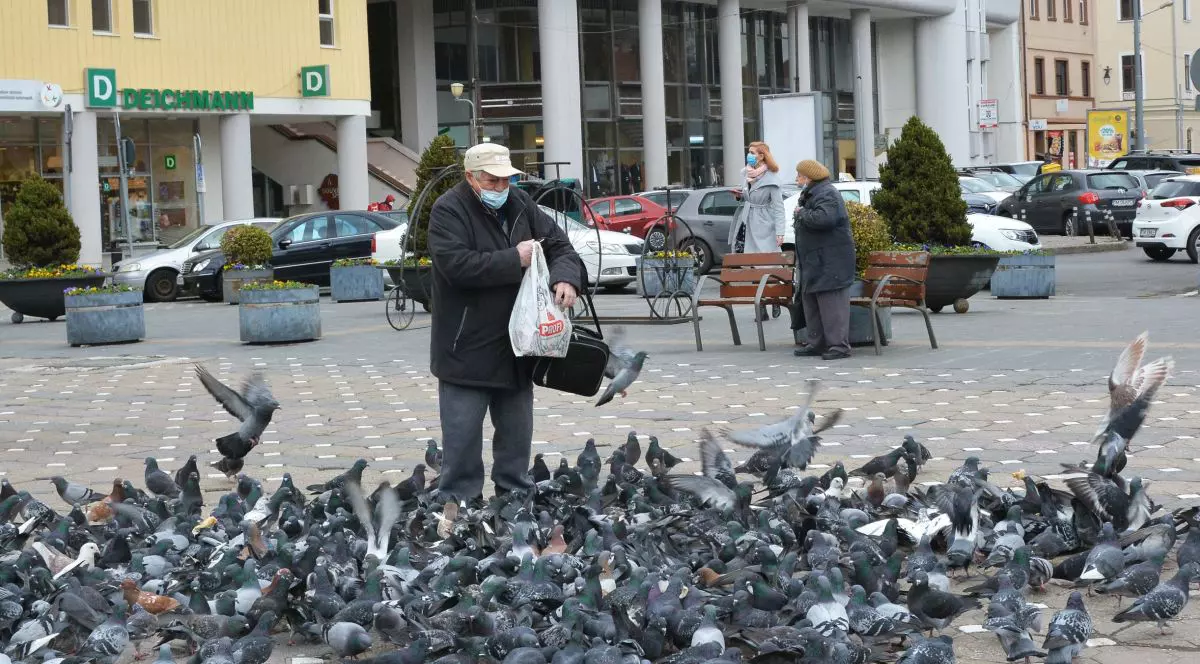 Numărul porumbeilor crește în București. Ornitolog: vina e a noastră, pentru că le dăm de mâncare