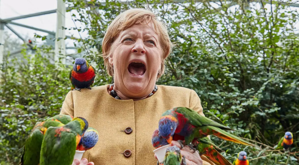 Imaginea zilei: Angela Merkel, ciupită de papagali, în timpul unei vizite la parcul de păsări din Marlow