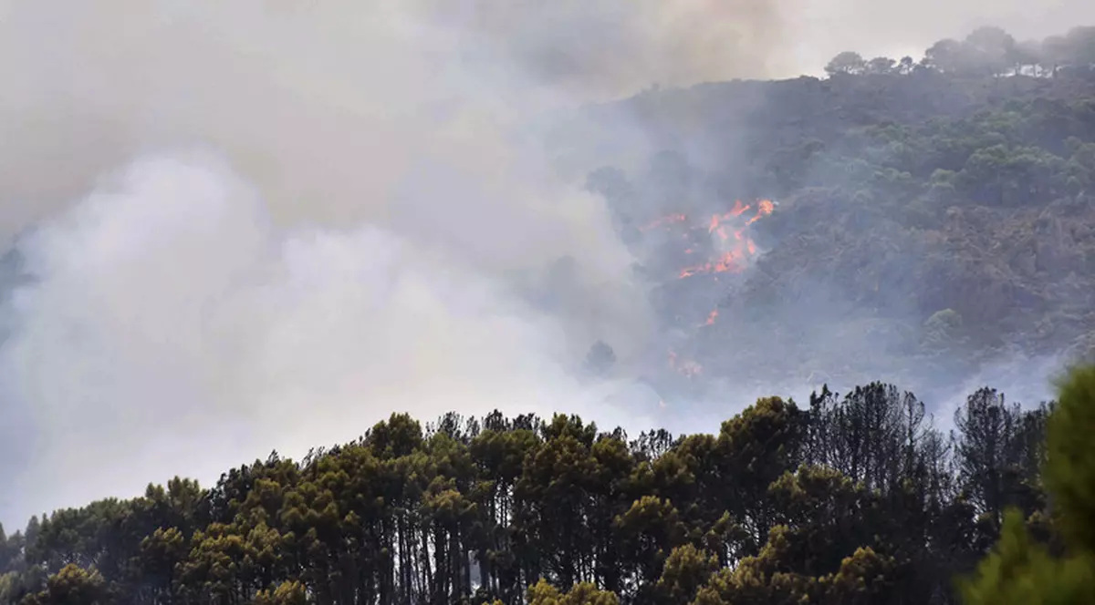 MAE a emis o avertizare de călătorie în Spania: Incendiu activ de vegetaţie forestieră în provincia Malaga