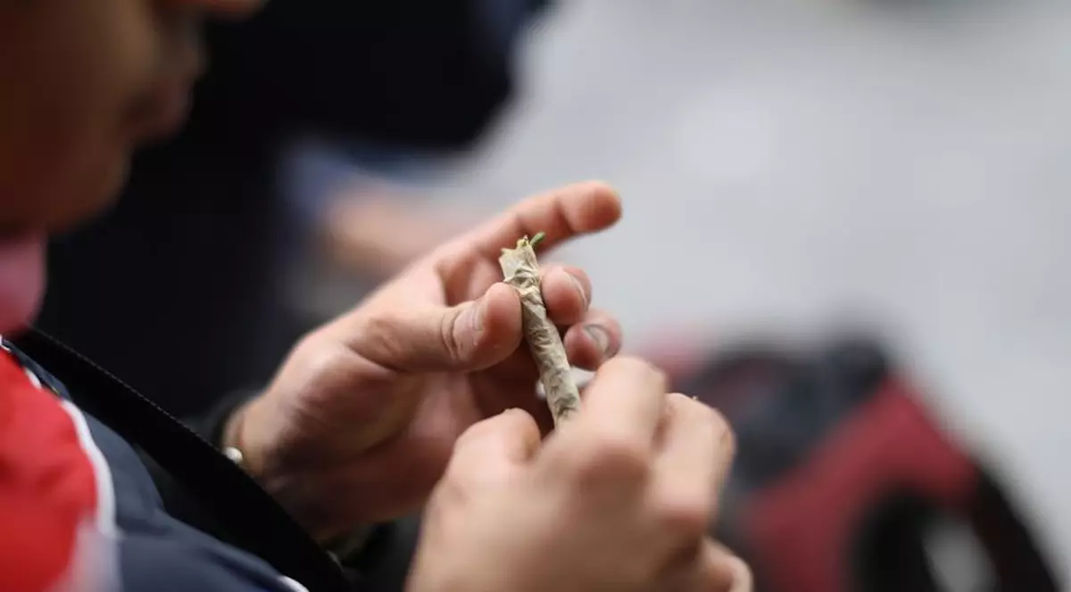 Cât încasau doi șoferi români care lucrau pentru o rețea de traficanți de canabis. Poliția franceză i-a arestat