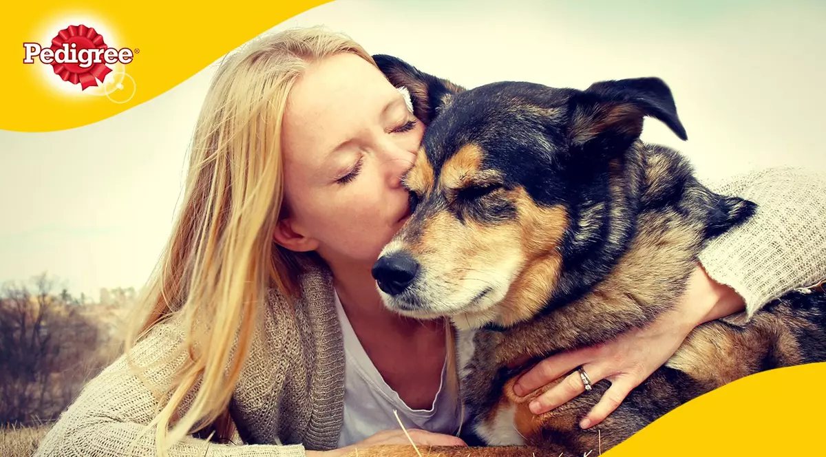 Resturile alimentare provenite din gospodăriile oamenilor, administrate într-un mod regulat sunt dăunătoare pentru animalele de companie