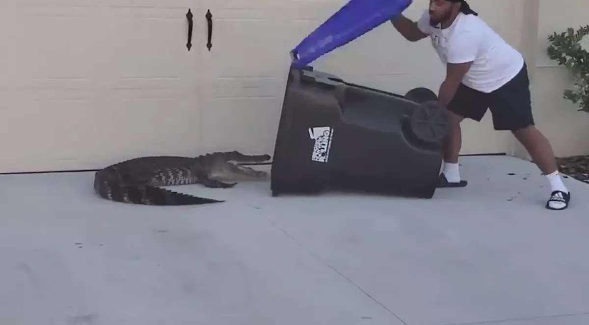 VIDEO VIRAL. Un bărbat a prins un aligator de aproape 2 metri într-un tomberon