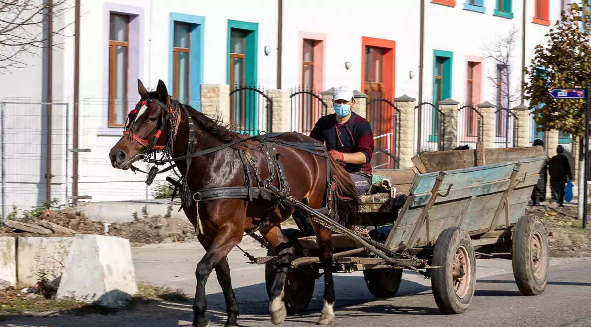 REPORTAJ. Viața, furia și spaimele locuitorilor dintr-o comună fruntaşă la Covid-19. „M-aș fi vaccinat, dar cum să ajung la Giurgiu când eu abia merg?”