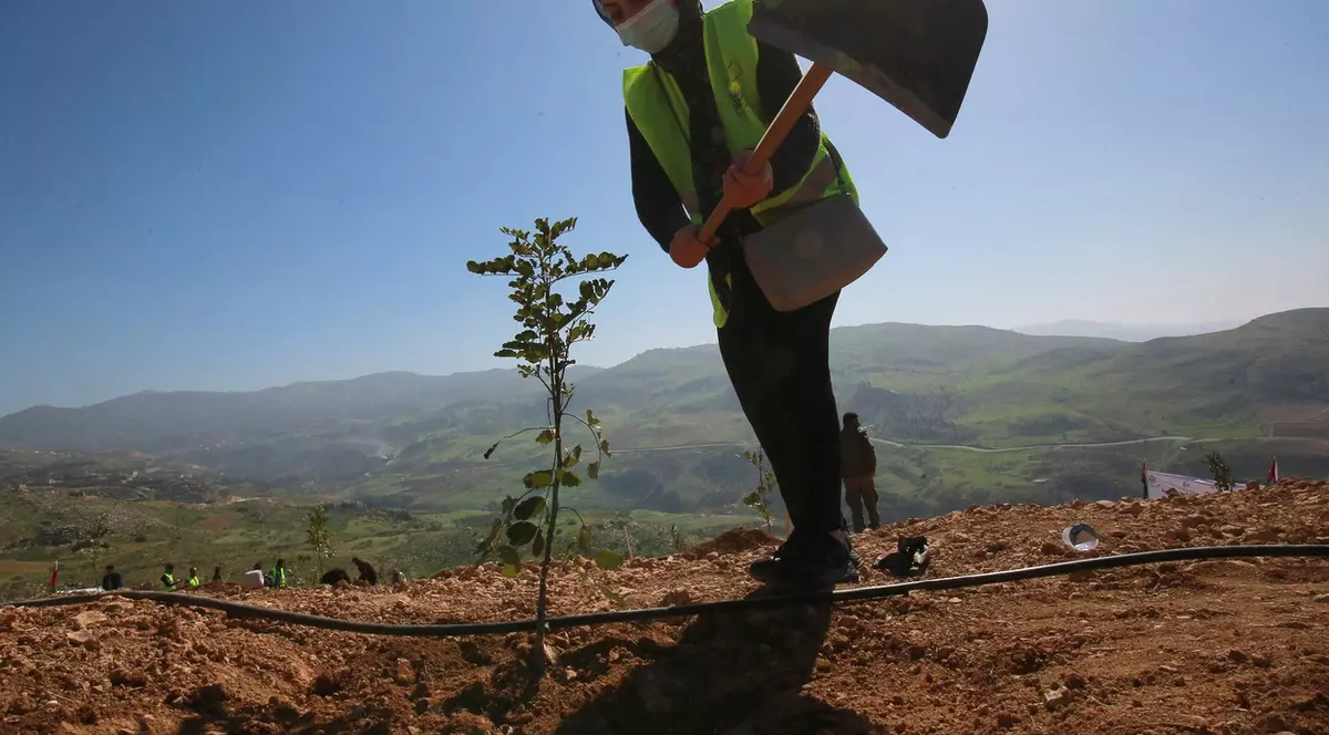 Proiectul încurajator prin care o tânără arhitectă a reușit să crească o pădure în capitala Iordaniei, țară aflată în plin deșert