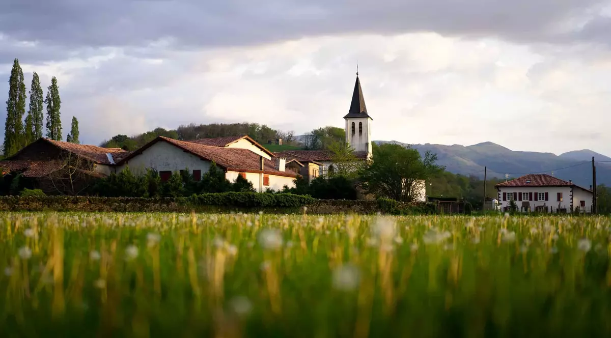 Ți-ai cumpărat casă la sat? Ghid scurt de care să ții cont înainte de a te muta în noua gospodărie