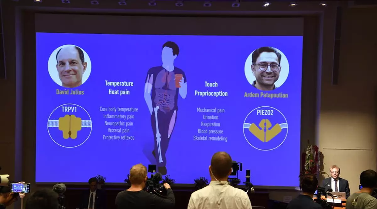 David Julius și Ardem Patapoutian au câștigat Premiul Nobel pentru Medicină 2021. Ce descoperire au făcut