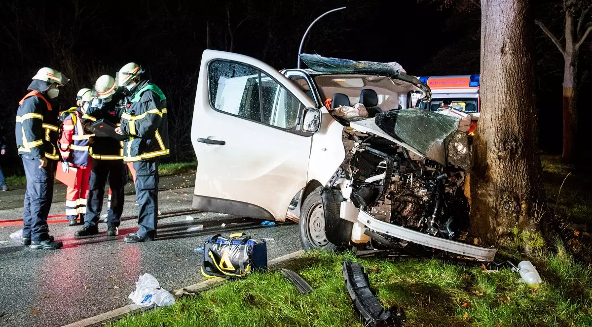 Doi români morți, alți doi grav răniți, în Germania. Duba în care erau s-a făcut praf într-un pom