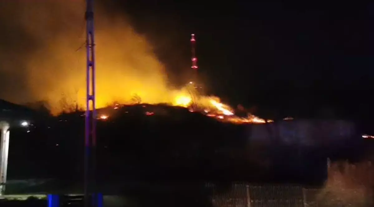 Incendiu masiv de vegetație pe dealul Pietricica din Piatra-Neamț. Foto: Știri-neamț.ro