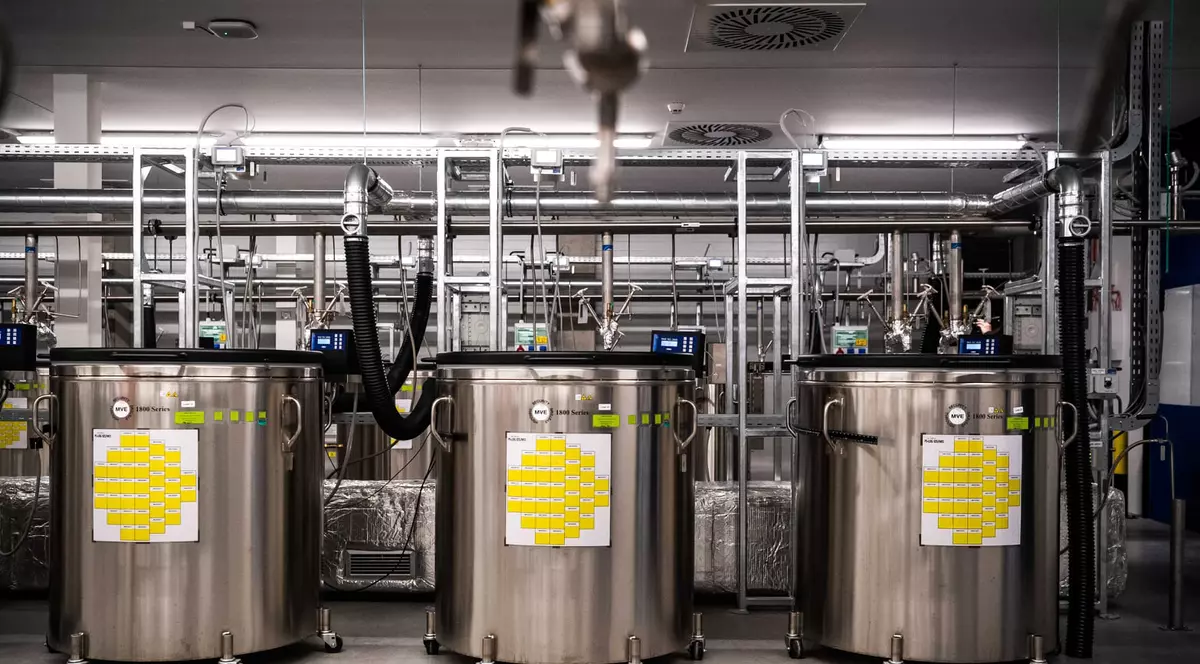 Cel mai mare depozit frigorific din UE, inaugurat lângă Budapesta. În Ungaria se construiește și o fabrică de vaccinuri, de 22 milioane de euro